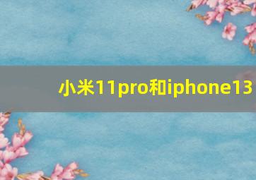 小米11pro和iphone13