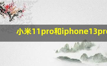 小米11pro和iphone13promax